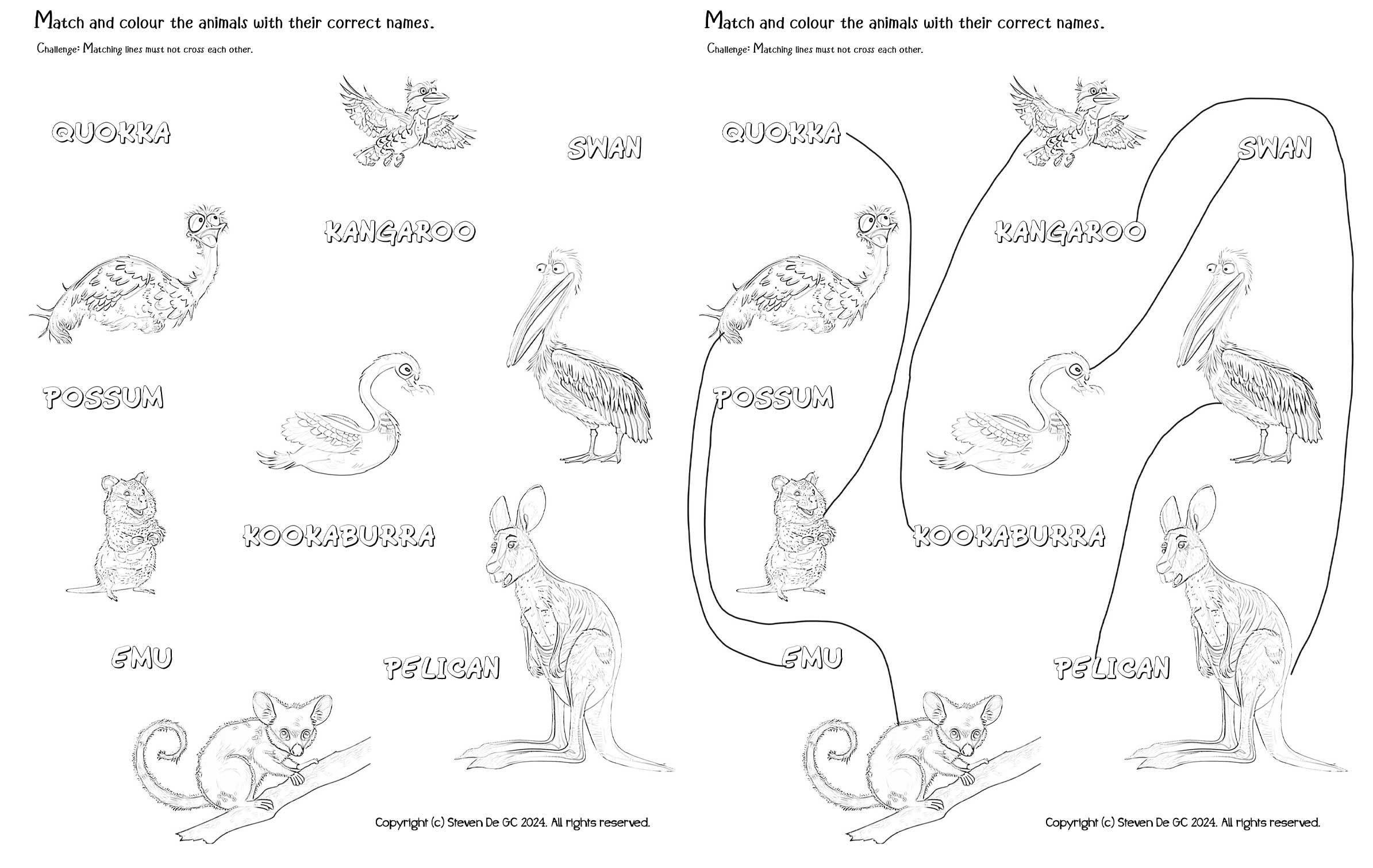 Southwestern Australian Animals